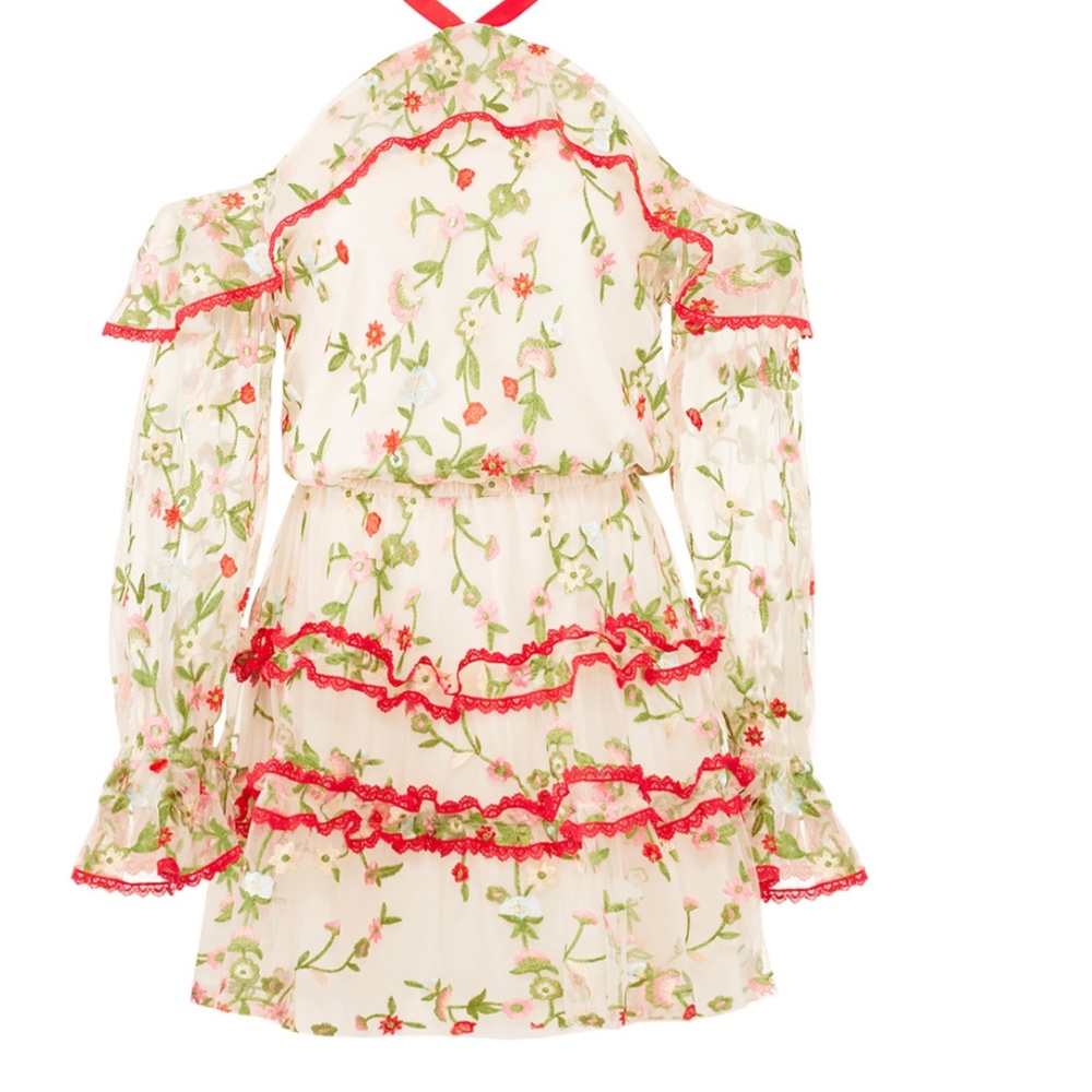 Alexis  Ivory Floral Adeline Dress - Picture 3 of 5